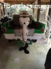 1960 Redfish Shark