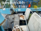 Johnson Fiberglass boat